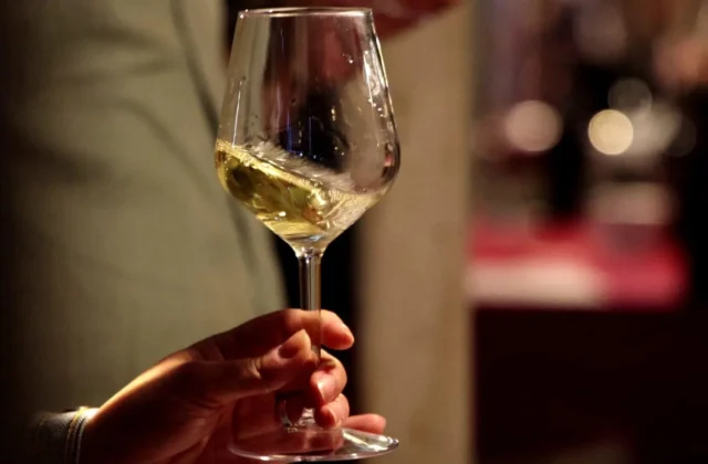 Slow Wine 2027: molti vini Calabresi recensiti