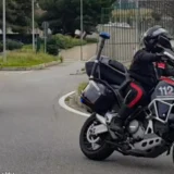 Reggio, droga, serre di marijuana in casa, un arresto