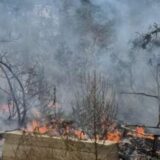 Blitz della polizia locale a Reggio Calabria, cinque denunce