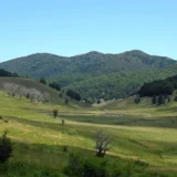 La Valle del Tacina un tesoro verde nel cuore della Sila