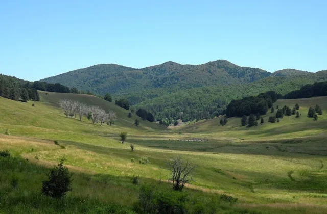 La Valle del Tacina un tesoro verde nel cuore della Sila